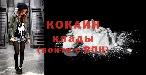 тгк Новозыбков