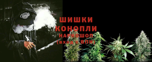 mdma Новодвинск