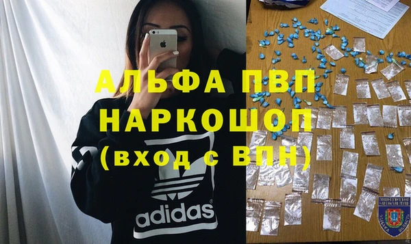 тгк Новозыбков