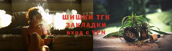 тгк Новозыбков