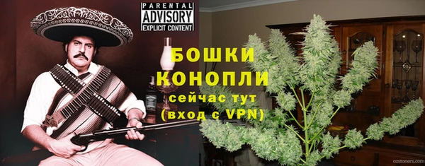 тгк Новозыбков