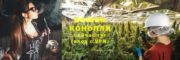 тгк Новозыбков