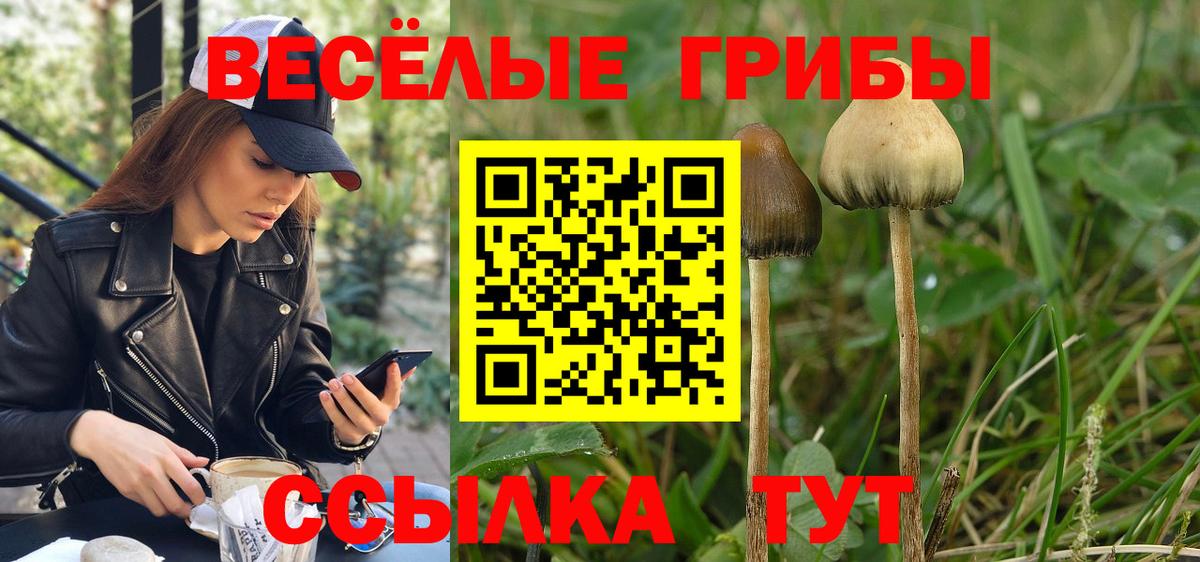 Псилоцибиновые грибы прущие грибы  Вход с VPN  Киров 