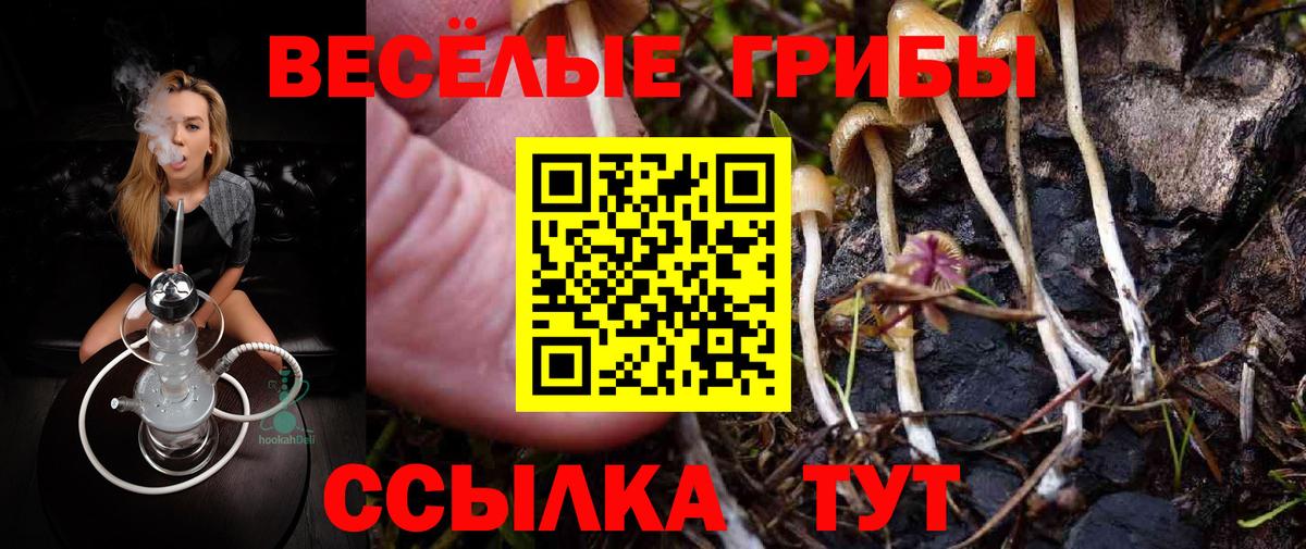 Псилоцибиновые грибы мухоморы Киров