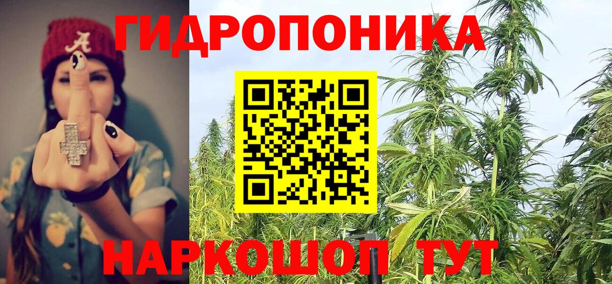 МАРИХУАНА сатива Киров